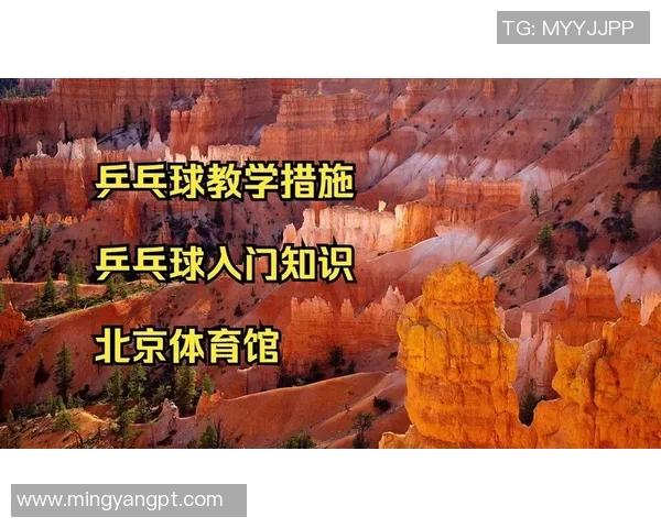提升乒乓球技术的最佳选择体育馆专业培训课程全方位解析